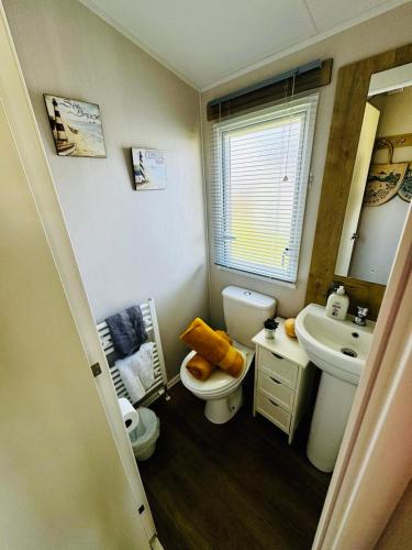 a bathroom with a sink and a toilet and a mirror at Tigh na Mara in Padstow