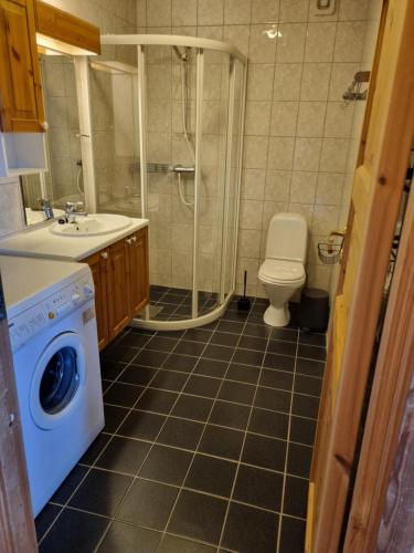 a bathroom with a toilet sink and a washing machine at Voss Resort self-service apartments in Skulestadmo