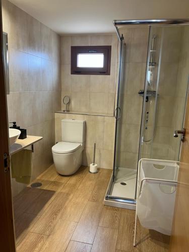 a bathroom with a toilet and a shower at Brisa mariña in Isla de Arosa