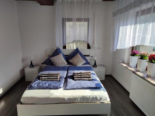 a bedroom with a large bed with blue sheets and pillows at Ferienhaus Richard in Eschwege