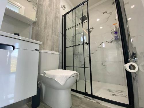 łazienka z toaletą i prysznicem w obiekcie Küre Dağları Manzaralı Şömineli ve Bahçeli Villa 