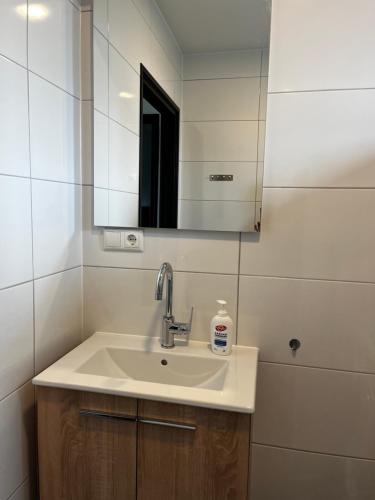 a bathroom with a sink and a mirror at Lauwershuisje sauna Harbor Lauwersmeer in Anjum