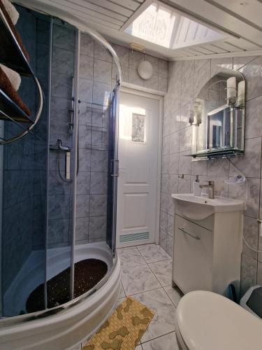 a bathroom with a shower and a toilet and a sink at Dom Gościnny Dżafar Pogorzelica in Pogorzelica