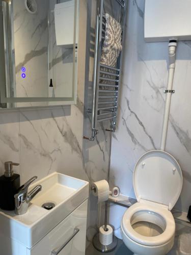 uma casa de banho com um WC e um lavatório em Prince of wales accommodation em Llangollen