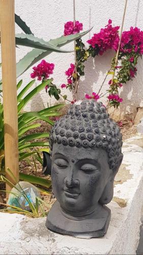 a statue of a head on a wall with flowers at La Villa Du Menhir Chambre d'hôtes in Bize-Minervois