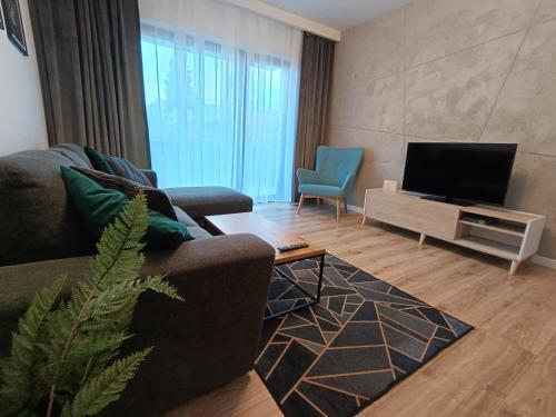 sala de estar con sofá y TV de pantalla plana en Apartament Siedlce, en Siedlce