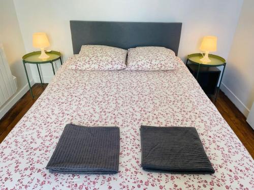 a bed with two lamps on top of it at Charming & cocooning flat - Canal de l’Ourq in Pantin