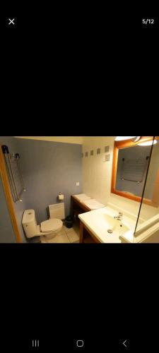 une salle de bain avec toilettes et lavabo dans l'établissement T2, 2 étoiles, 5 couchages, piscine, Carcans Maubuisson proche Lacanau, à Carcans