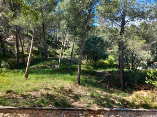 Photo de la galerie de l'établissement Studio Meyreuil-Terrasse-Au calme en campagne-Clim, à Meyreuil