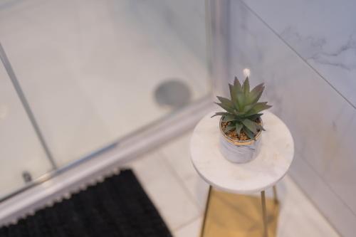 a small plant on a small table in a room at The Broad Oaks in Olton