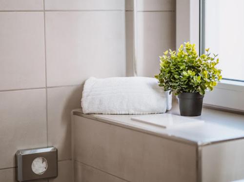 a plant sitting on top of a counter in a bathroom at Mey Boardinghouse in Bielefeld
