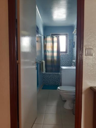 une salle de bain avec toilettes, douche et lavabo dans l'établissement Appartement Chaleureux La Montagne, à Saint-Étienne-de-Tinée