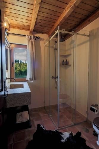 a bathroom with a shower and a sink at Reinado de Dom Dinis in Dornes