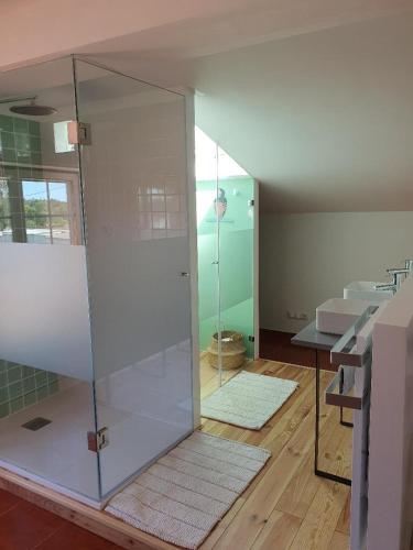 a glass shower in a bathroom with a sink at Quinta da Familia in Caldas da Rainha