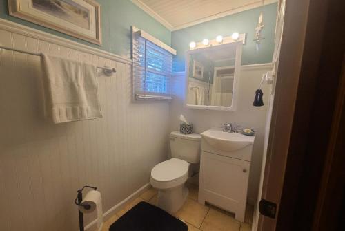 a bathroom with a white toilet and a sink at Lake Huron - 3 Bedroom, 2 Bath Lake Front Home (Sleeps 12) in Oscoda