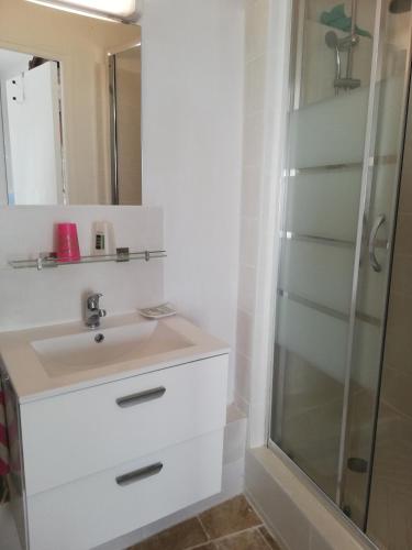 une salle de bain avec un lavabo et une douche dans l'établissement Belle maison de village entièrement climatisée, à Vias