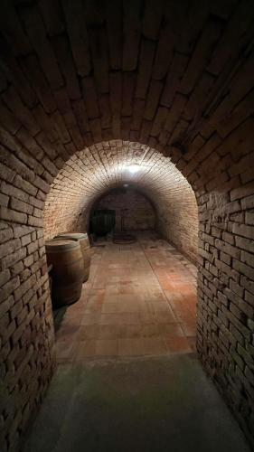 a tunnel with barrels in a brick wall at Ubytování Pod Hrozny in Velké Bílovice