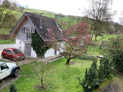 a house with a car parked in front of it at Wallys Hüsli im Schwarzwald in Ühlingen-Birkendorf