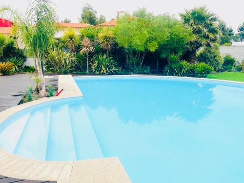 a large blue swimming pool in a yard at Moradia de Sonho com Piscina in Ponte de Vagos