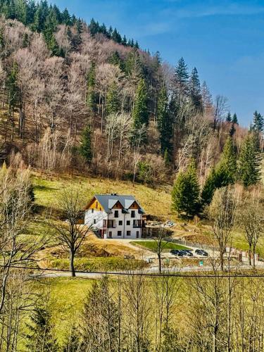 a house in the middle of a field with a mountain at GÓRSKA CISZA - Duży, komfortowy, wyjątkowy Apartament in Stronie Śląskie