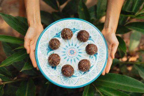 a person holding a plate of chocolate truffles at La Ponderosa Reserve in Buritaca