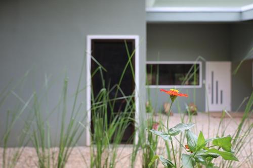 a red flower in front of a house with a door at Casa Mari Black Stallion in Tamarindo