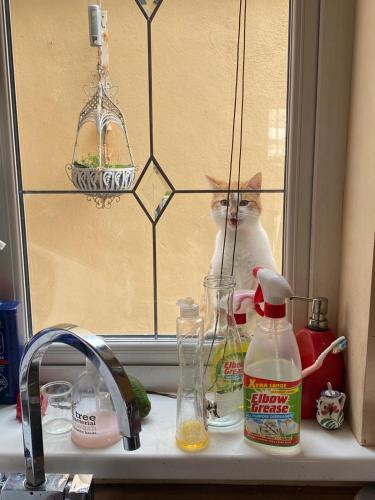 Minuman di Glendale House