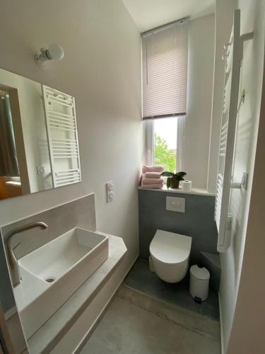 une salle de bain avec un lavabo et des toilettes et une fenêtre dans l'établissement La Hacienda Rosita, à Saint-Jouan-des-Guérets
