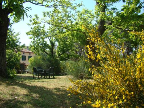 two benches in a park with trees and yellow flowers at Borgo Tepolini Country House in Castel del Piano