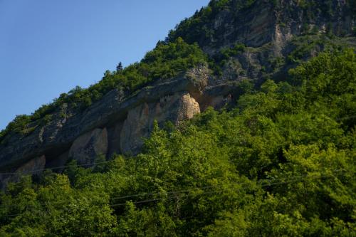 a mountain with trees in front of it at Forest Side Gogolati in Ambrolauri