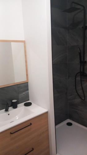 une salle de bain avec une douche, un lavabo et un miroir dans l'établissement le domaine de thizy, à Thizy-les-Bourgs