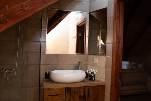 a bathroom with a sink and a mirror at Forest Side Gogolati in Ambrolauri