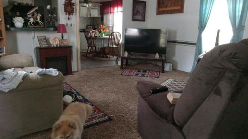 una sala de estar con un perro en el suelo en Danny king, en Valdosta
