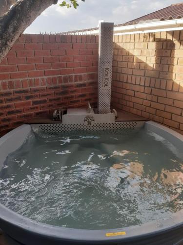 Imagen de la galería de White Shark Guest House, en Gansbaai