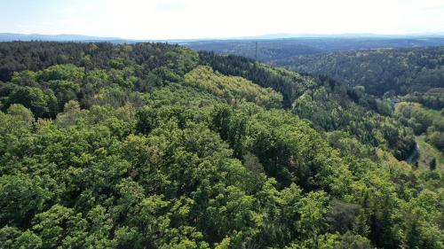 an aerial view of a forest of trees at Appartement Am Burgstall in Steinberg an der Rabnitz