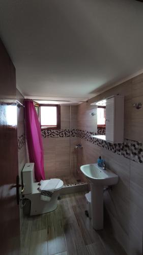 ネア・ムダニアにあるPlatanos Apartmentのバスルーム(洗面台、トイレ付)