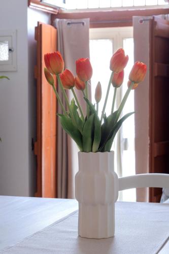 Galería fotográfica de Casa Mami en Mattinata