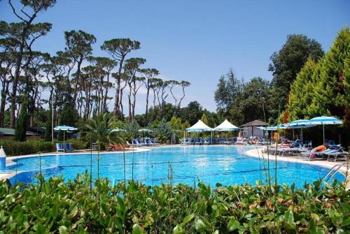 una gran piscina con sillas y sombrillas en Mobile home Viareggio - Camping Paradiso- Including airco -Zona Gialla 016, en Viareggio