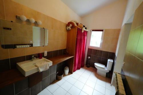 a bathroom with a sink and a toilet at La Pierre Blanche in La Sauvetat-sur-Lède
