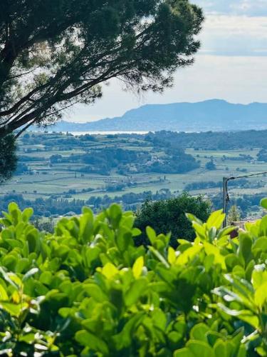 a view of a valley with trees and mountains at Maison climatisée avec piscine proche bandol in Le Beausset