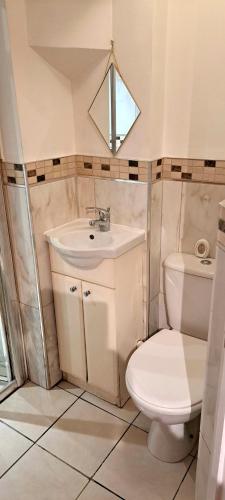 Baño pequeño con aseo y lavamanos en Hideaway Apartment nr. Zipworld, en Aberdare