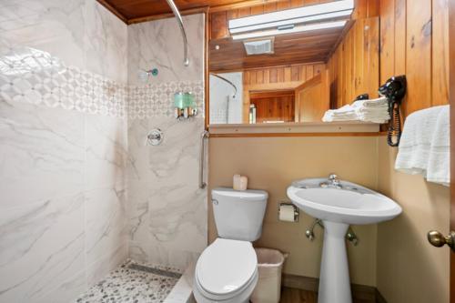 a bathroom with a shower and a toilet and a sink at Carr's Northside Hotel and Cottages in Gatlinburg