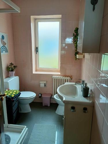 een roze badkamer met een wastafel en een toilet bij Casa Pancha in Ribadeo
