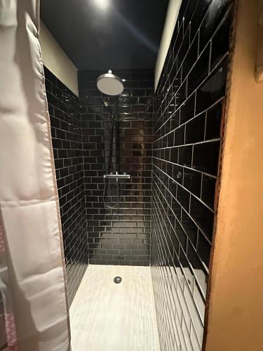 a bathroom with a shower with black tiles at Mulhouse City Loft in Mulhouse