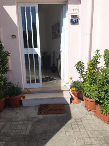 an open door of a house with potted plants at Sulla via del Mare Room I.U.N R5045 in Terralba