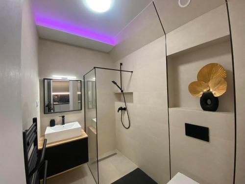 a bathroom with a shower and a sink at LaMira Apartment in Hajdúszoboszló