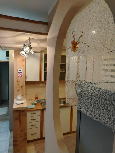 a kitchen with a spider on top of a door at Sarajevo Old Town 1 Free Parking & RoofTop View in Sarajevo