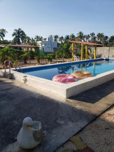 een eend die voor een zwembad zit bij Villa del Sol in Barra de Potosi