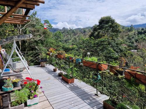 Příroda nedaleko bed and breakfast