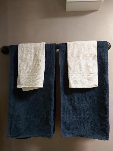 2 toallas colgando de un toallero en el baño en Solothurn, en Solothurn